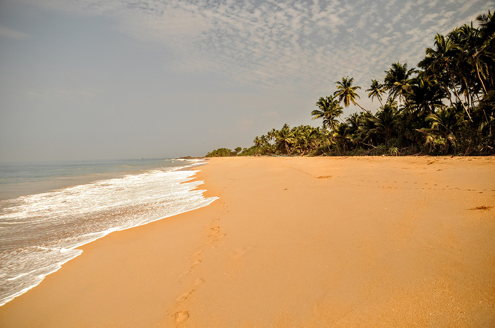 Der Strand von Maha Induruwa, Sri Lanka