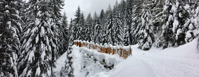 Südtirol im Winter – urige Almhütten und Rodeln